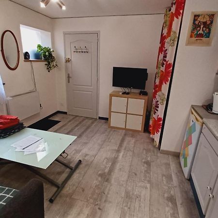 Studio Cosy Tout Confort Gaillac Centre. المظهر الخارجي الصورة