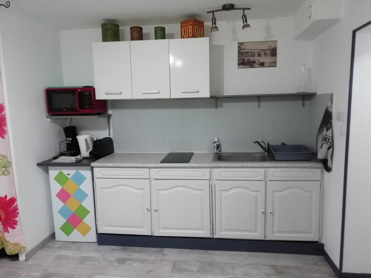 Studio Cosy Tout Confort Gaillac Centre. المظهر الخارجي الصورة